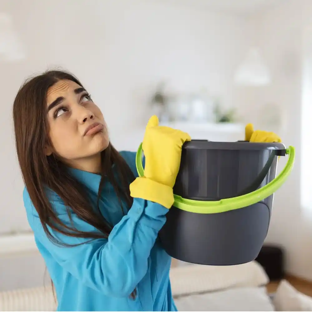water damage restoration service Hillsborough